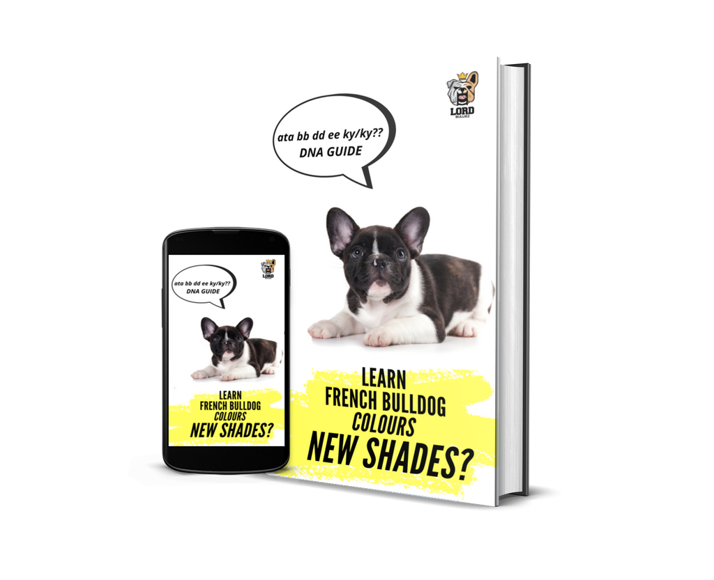 New DNA French Bulldog e-book