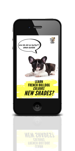 New DNA French Bulldog e-book